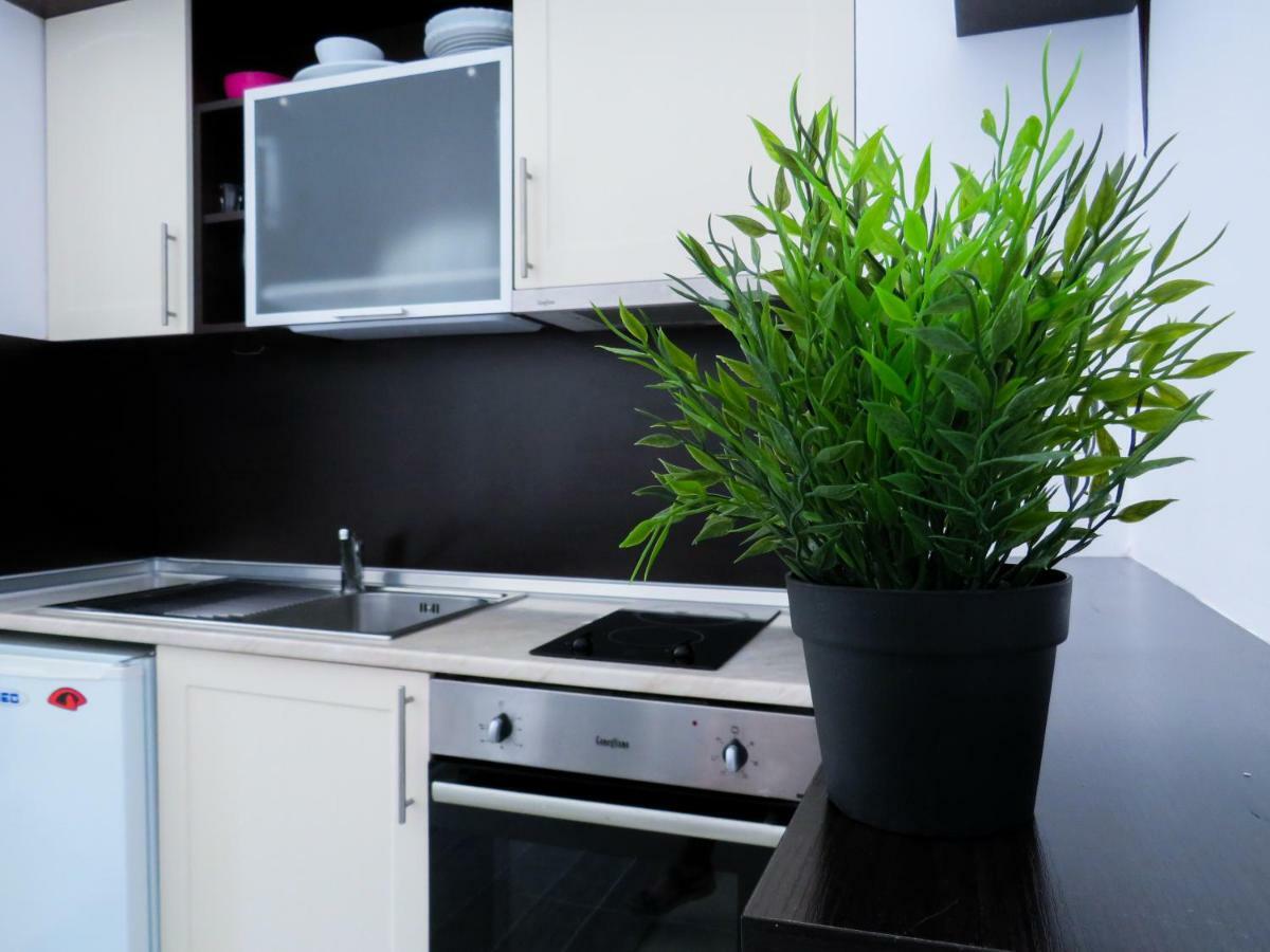 Flora Daisy Apartment Nr 28 Borovets Esterno foto